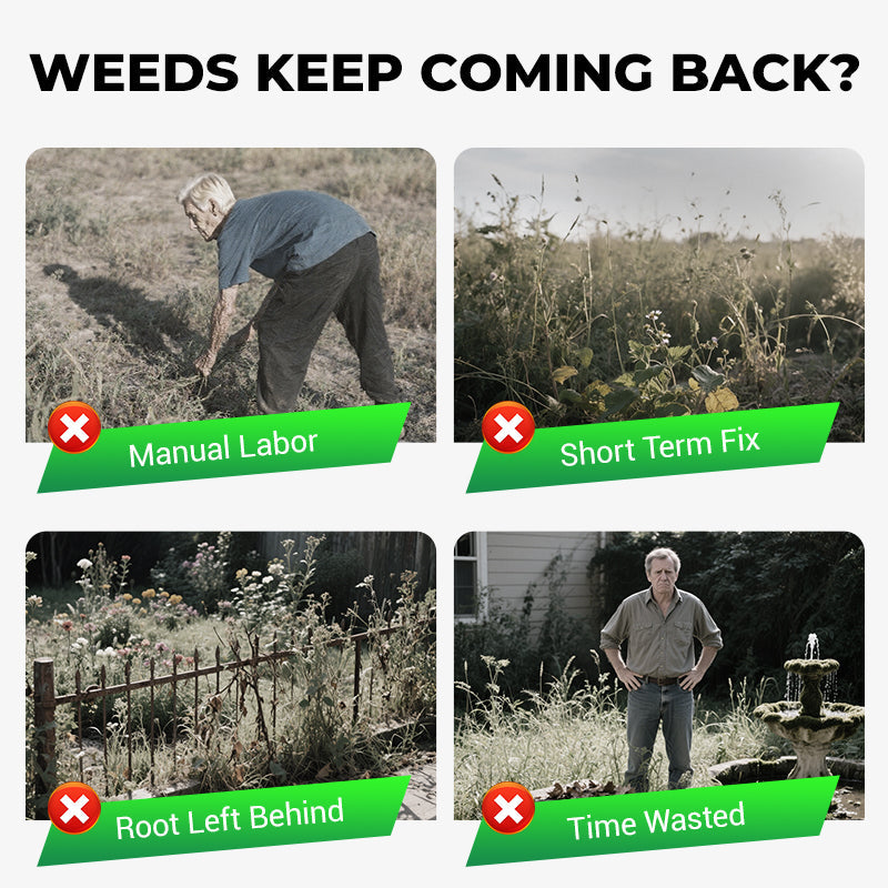 Cyclosinone Herbicide | 🌿BUY 1 GET 1 FREE🌾