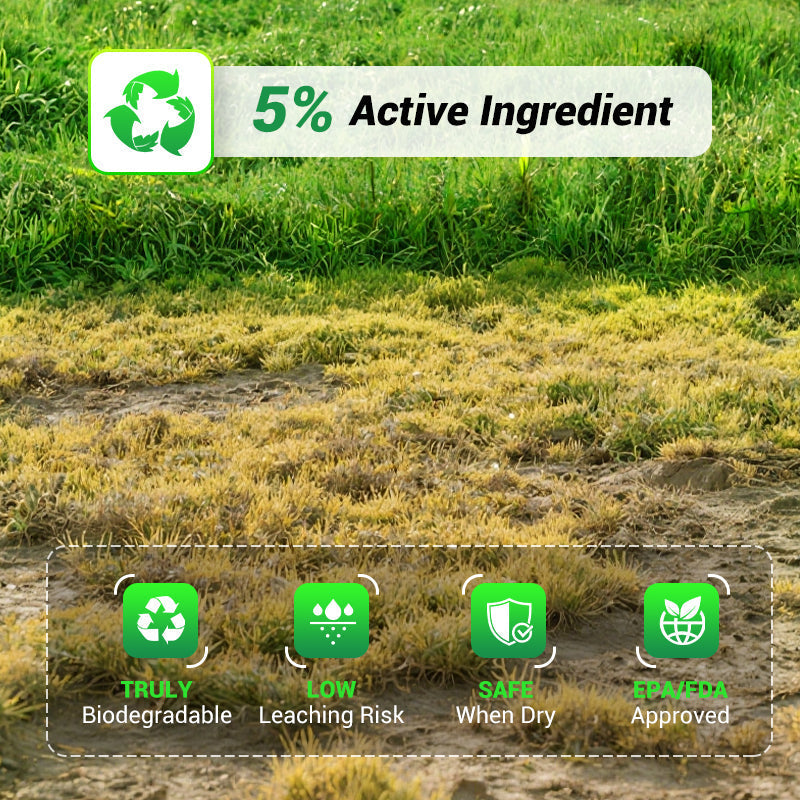 Cyclosinone Herbicide | 🌿BUY 1 GET 1 FREE🌾
