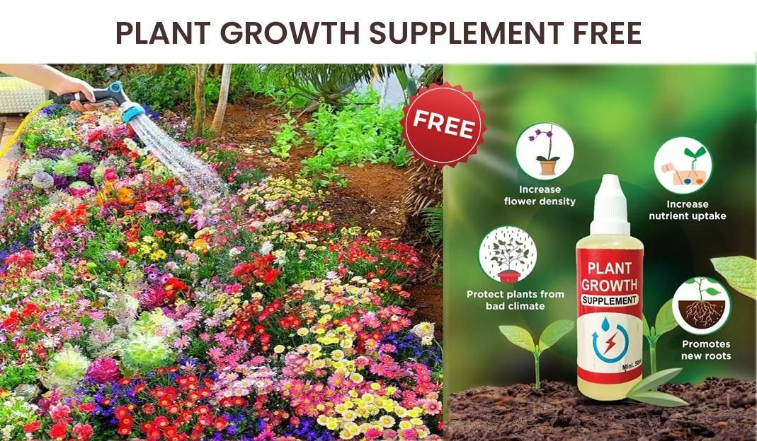 🌸 Bloom & Lotus Kit – 100 Flowers + 20 Lotus 🪷 + Free Booster