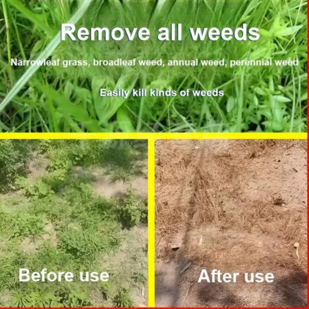 Cyclosinone Herbicide | 🌿BUY 1 GET 1 FREE🌾