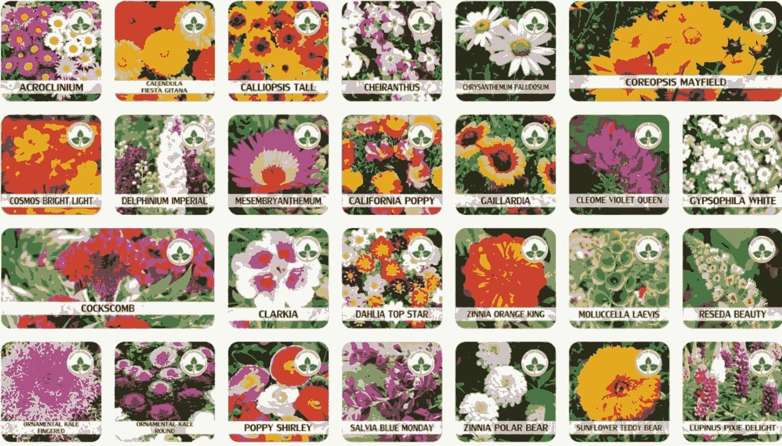 🌸 Bloom & Lotus Kit – 100 Flowers + 20 Lotus 🪷 + Free Booster